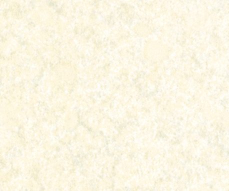 Pionite AT951 NEUTRAL SANTOS