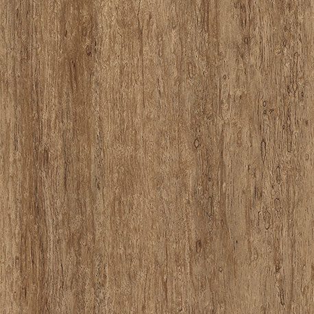 Pionite AY120 GINGER SNAP