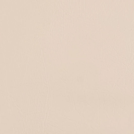 Formica Bianco 5621