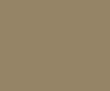 Nevamar S5058 COCONUT BARK