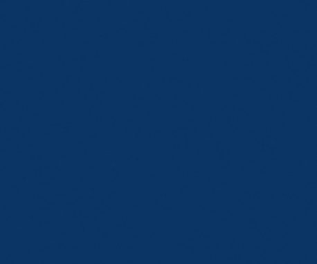 Pionite SB007 NAVY BLUE