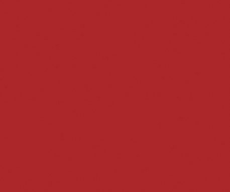Pionite SR520 PRIMARY RED