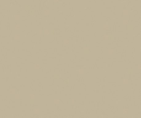 Pionite ST606 TAUPE