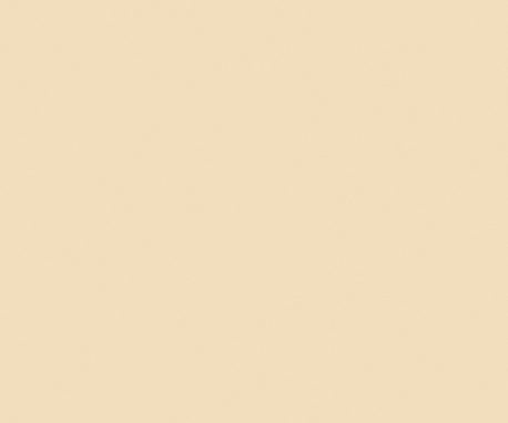 Pionite ST617 BEIGE