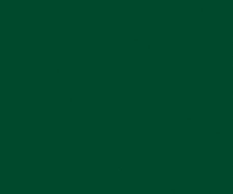 Pionite SV704 BOXWOOD