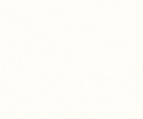 Pionite SW811 WHITE