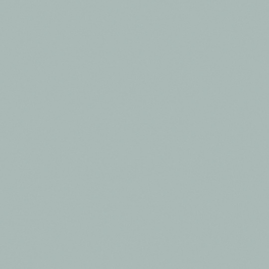 Formica Fossil 5349