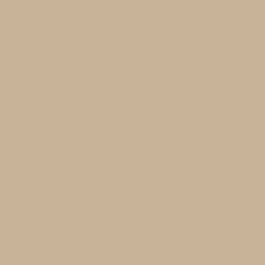 Formica Mojave 8751