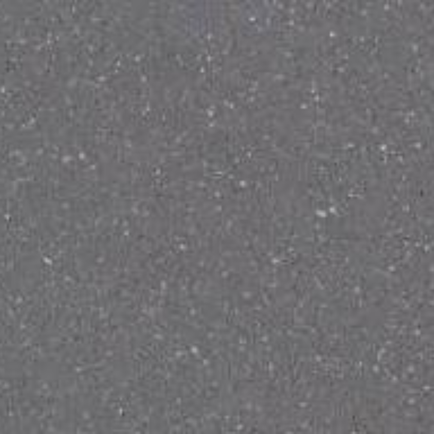 Formica Luna Storm 775