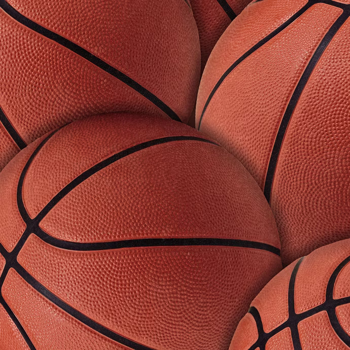 Wilsonart Basketballs Y0019