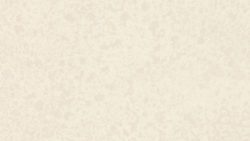 303 Antique White Oxide - Formica