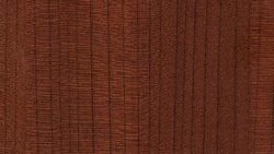 3040 Foothill Aspen - Lamin-Art
