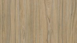 3085 American Elm - Lamin-Art