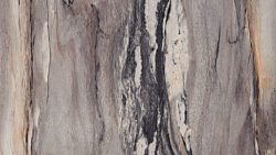 3420 Dolce Vita 180FX - Discontinued - Formica