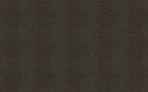 4595 Bahia Granite - Wilsonart