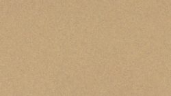4663 Tawny Legacy - Wilsonart
