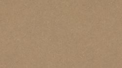 4669 Natural Tigris - Wilsonart