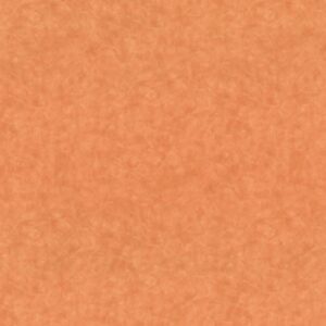 4744 Karratha Brush - Wilsonart