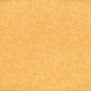 4745 Maroochy Brush - Wilsonart
