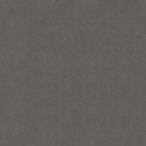 4795 Windswept Pewter - Wilsonart