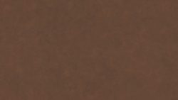 4796 Burnished Chestnut - Wilsonart