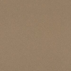 4814 Tungsten EV - Wilsonart