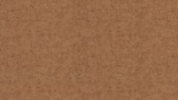 4823 Antique Brush - Wilsonart