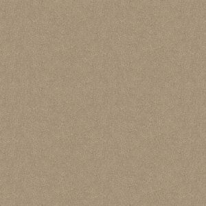 4977 Crunch - Wilsonart