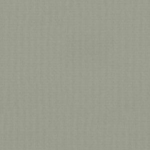 4993 Irish Linen - Wilsonart