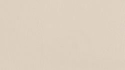 5621 Bianco - Formica