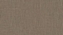 5880 Earthen Warp - Formica