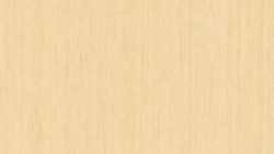 6925 Maple Woodline - Formica