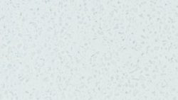 759 Dali Mineral - Formica Solid Surface