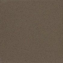 9063GG Capers - Wilsonart Solid Surface