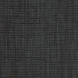 AG031 First N Main - Pionite
