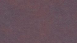 AP341 Porfirio - Pionite