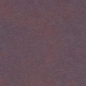 AP341 Porfirio - Pionite