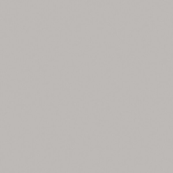 D381 Fashion Grey - Wilsonart
