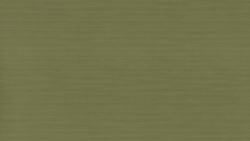 P297 Tatami Wasabi - Arborite