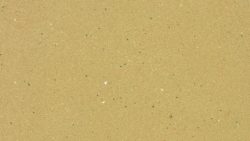P959 Papyrus Terra - Arborite
