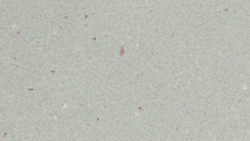 PR5001 Papier Luna - Nevamar