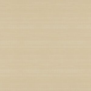 W426 Blonde Figured Anigre - Arborite