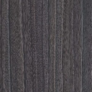 WX440 Black Forest Cake - Pionite