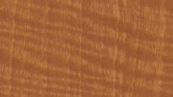 WZ0003 Tawny Satinwood - Nevamar