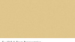Y0345 Wheat Berry - Wilsonart