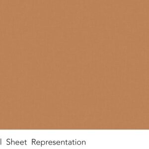 Y0388 New Penny - Wilsonart