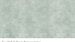 Y0413 Linear Chisel Aloe - Wilsonart