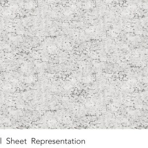 Y0425 Bone Birch - Wilsonart
