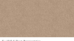 Y0433 Hammered Light Bronze - Wilsonart