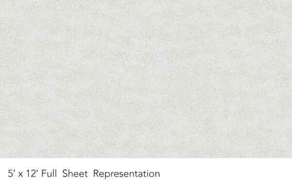 Y0448 Platinum Shagreen - Wilsonart